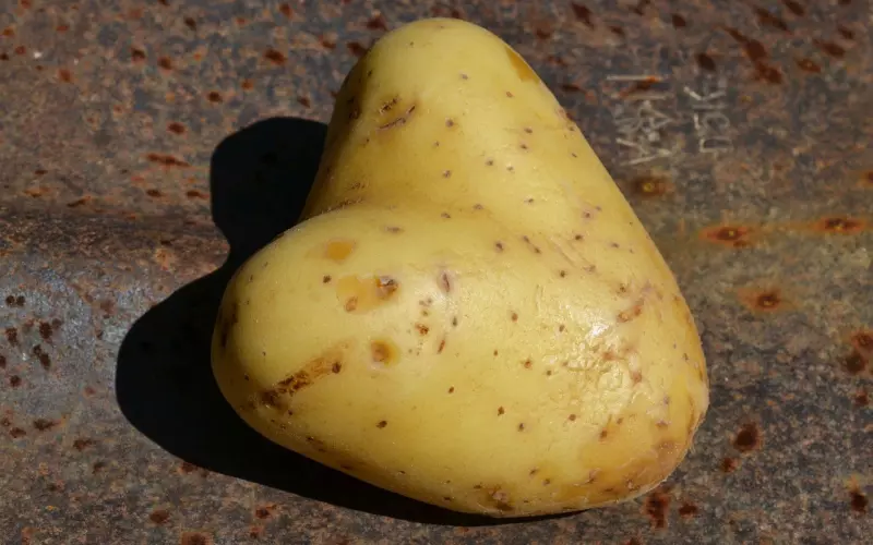 老公外遇后对我冷淡？教你如何挽回他的心