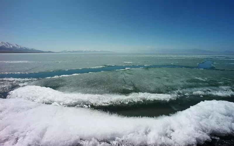 冰箱里的结冰厚的要命？原来只需“这个东西”就可以立马脱落！