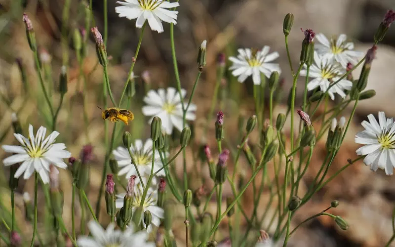 分手后挽回的只有绝情？怎样挽回一个人的正确方法是这样的