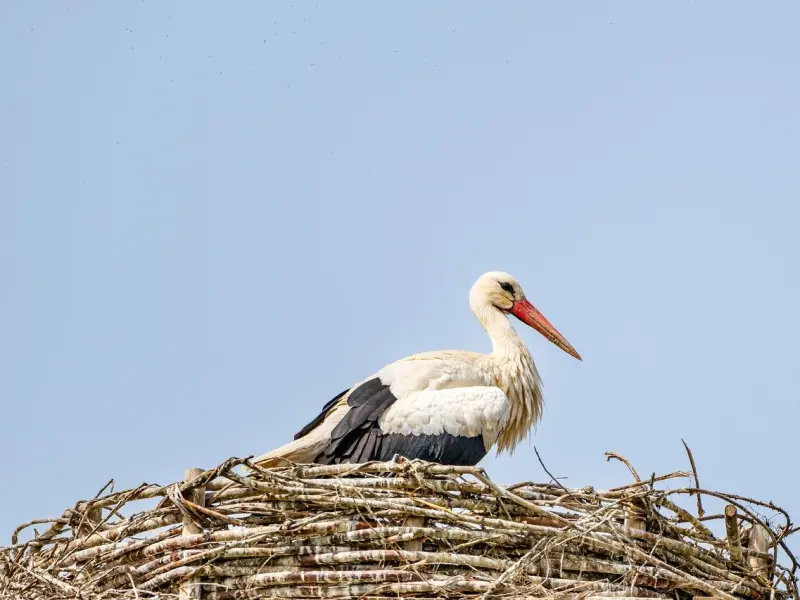 对方是否值得去挽回？