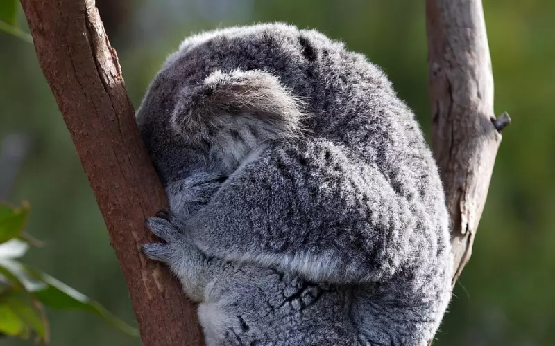 拉黑了有好方法挽回吗？