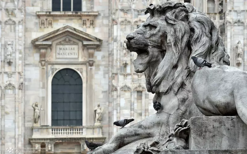 与前男友见面挽回概率大吗？咨询师教你有效操作方法