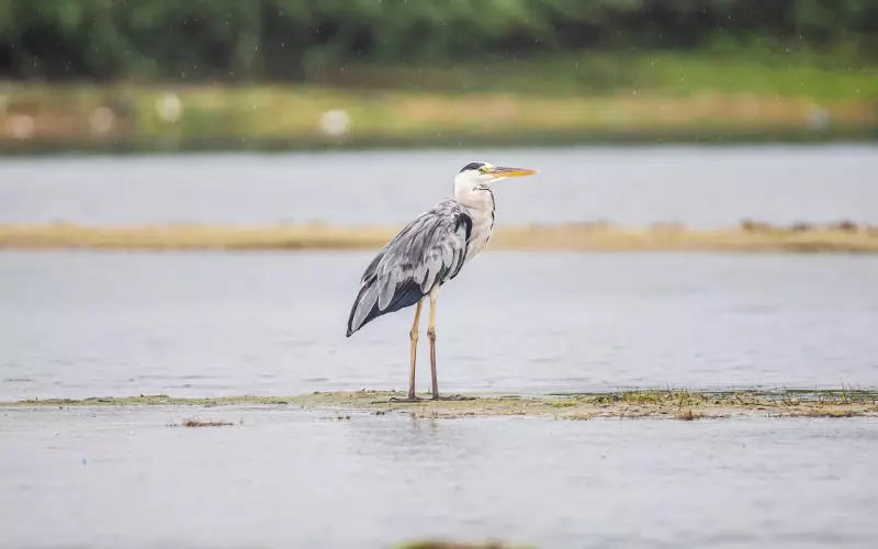 劈腿分手复合的几率大吗？