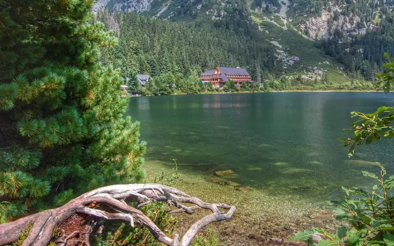 被拉黑了还有挽回的机会吗