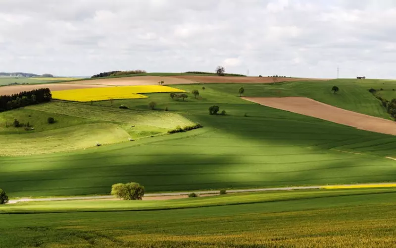 夫妻闹离婚婚姻还有挽救的机会吗(夫妻离婚时会出现什么样的征兆呢)