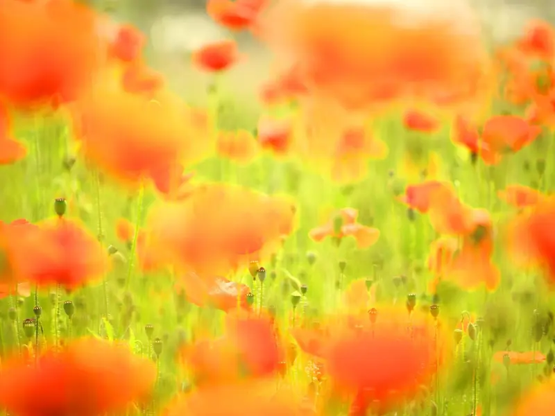 分手后彻底断联，还有希望挽回女友吗？