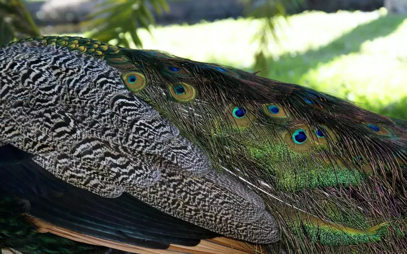 我的挽回之路，还有比这更难过的坎吗？