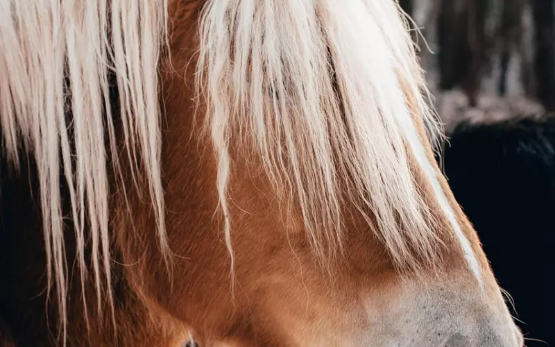 别人把手机号拉黑有办法挽回吗