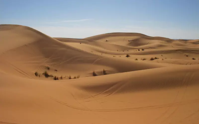 真的存在“一炮泯恩仇”么？