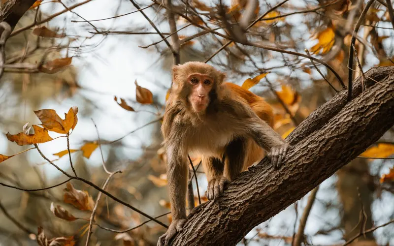 婚外有真情吗？