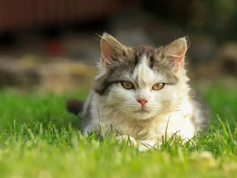 情感咨询公司真的吗？如何选择一家靠谱的情感挽回机构？