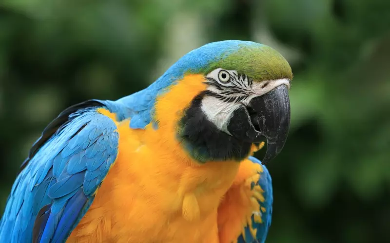 刚认识的妹子应该这么撩？（下）