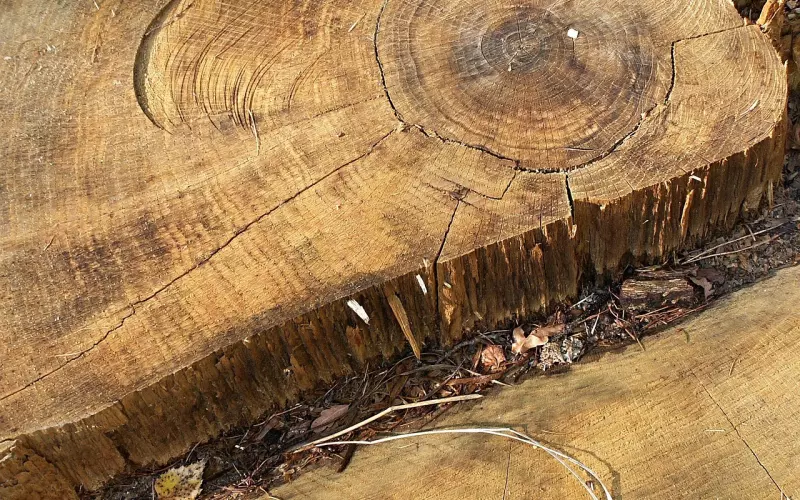 你的爱情被现实打败了？挽回女友还有可能吗