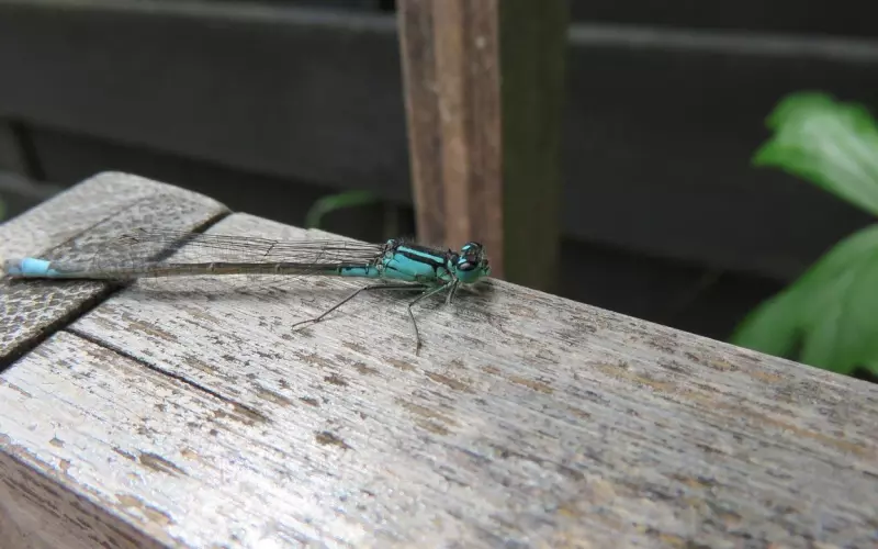 婚外情不觉丢人？女人出轨了，还觉得男人真心对他好，还到处炫耀