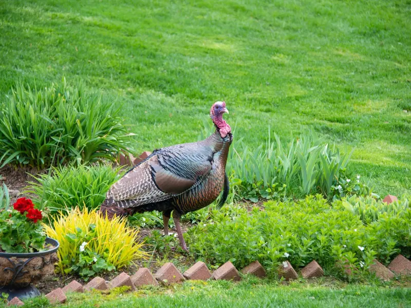 【第532期】恋爱情商：对男人，聪明女人一定要保守的4个秘密！