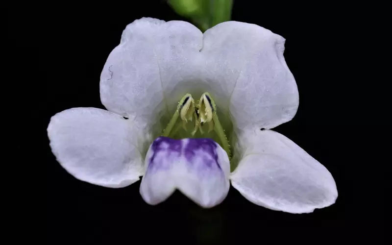 分手复合全靠它，想取得稳稳的成功千万别错过了