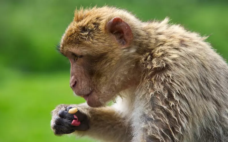 另一半爱冷战也没关系，这3招能让Ta秒变话唠！