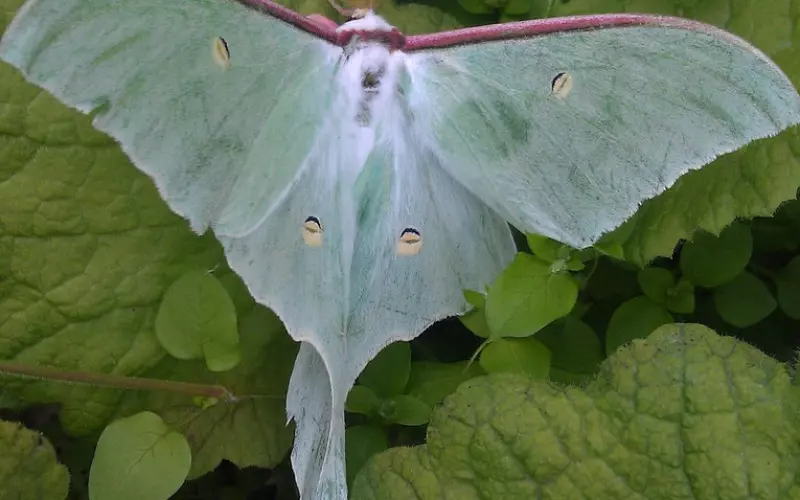 结不结婚不重要，和谁结婚才重要（深刻）