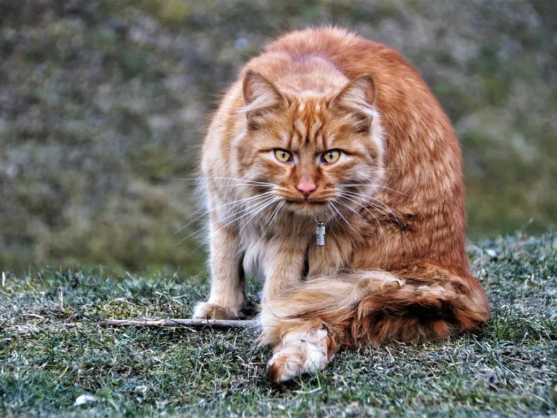 联不联系不重要，心里有你才重要！是啊，这才是最重要的！