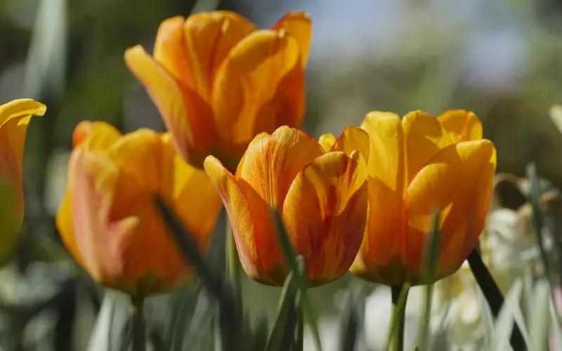 异性好友发生“暧昧关系”的预兆，中一个就难保持纯洁，很准