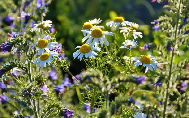 下一个会更好，是错误的观念