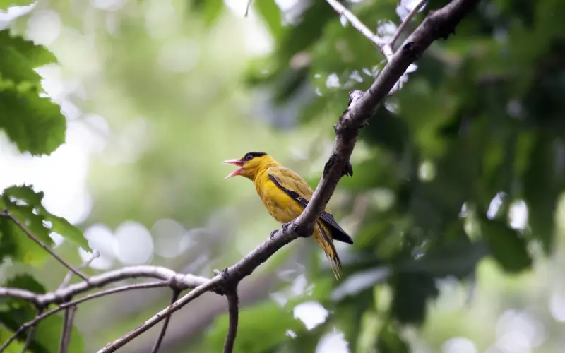 面对与突破新的环境，也很重要