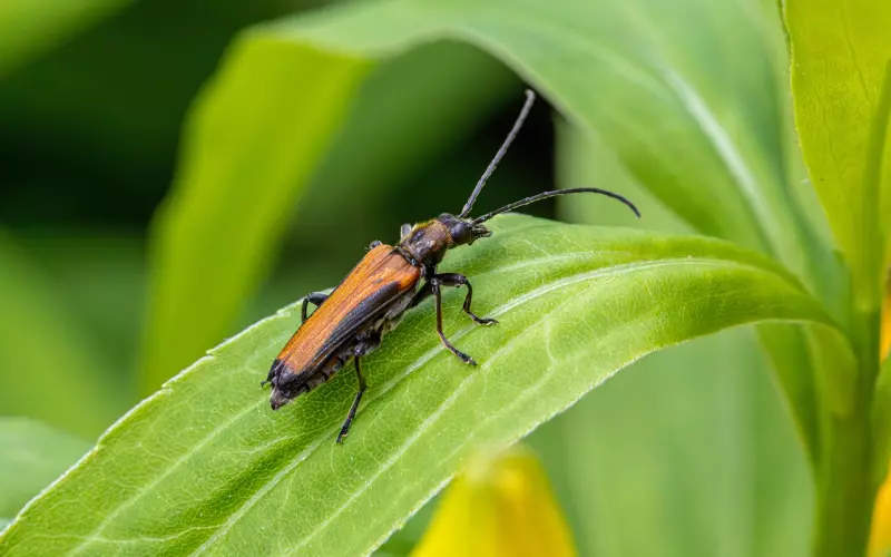 有缘无份的爱情，人生经历一次就足够了！