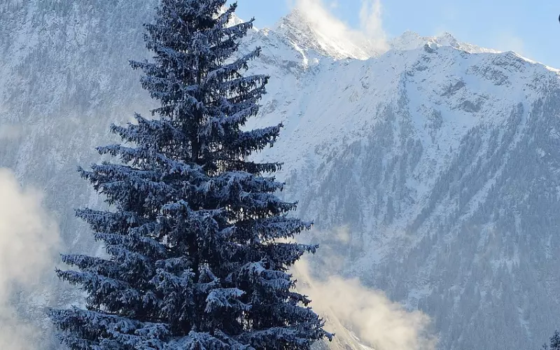 夫妻吵架不可避免 怎样吵架不伤感情!