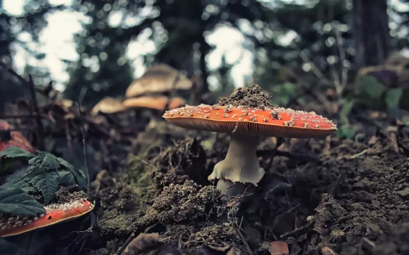 正是因为它婚姻才失败，挽回时你千万不要再做了