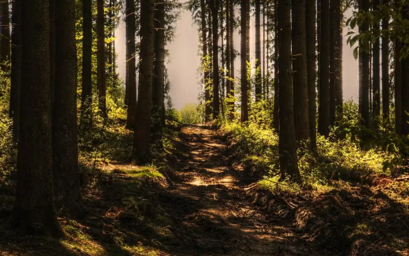 据说你身处单身重灾区？这份520脱单攻略请收下