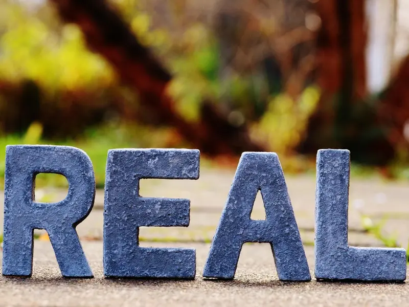 他爱你是真的，不爱你，也是真的。