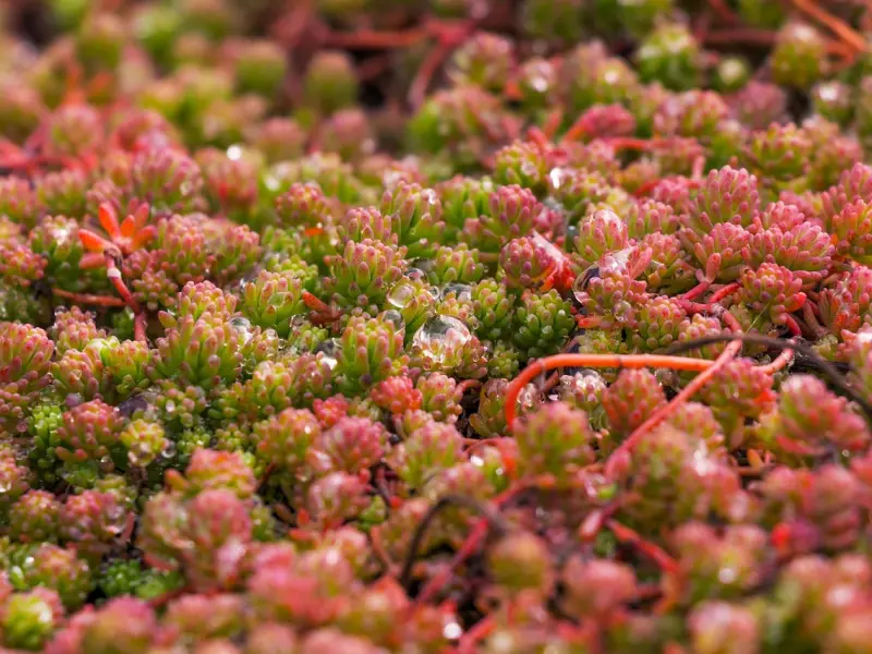 这样的分手，挽回只需要3天。
