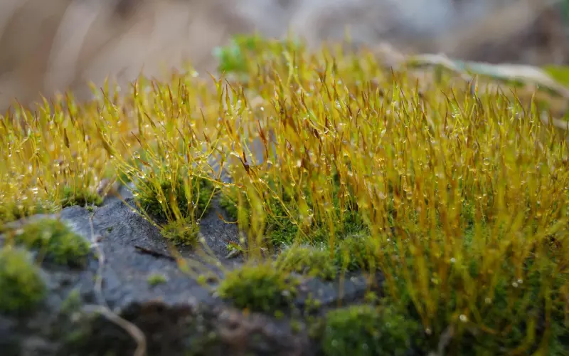 挽回变心的男人，只需要三步