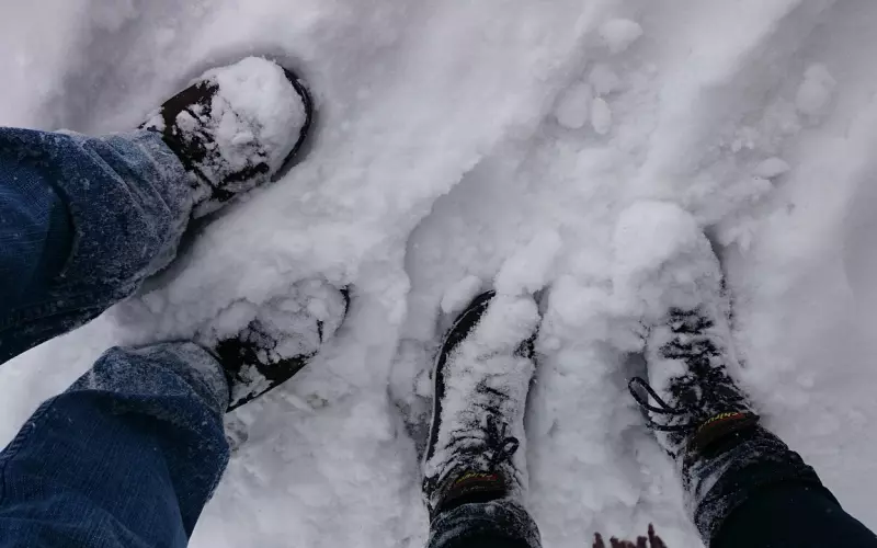 网恋到夫妻生活，清华大学生和失聪女孩用两个月，相爱原本很简单