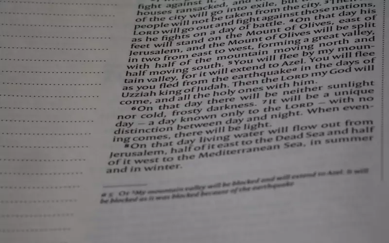 十年的感情原来真的不值一提(十年感情真的可以说不爱就不爱了)
