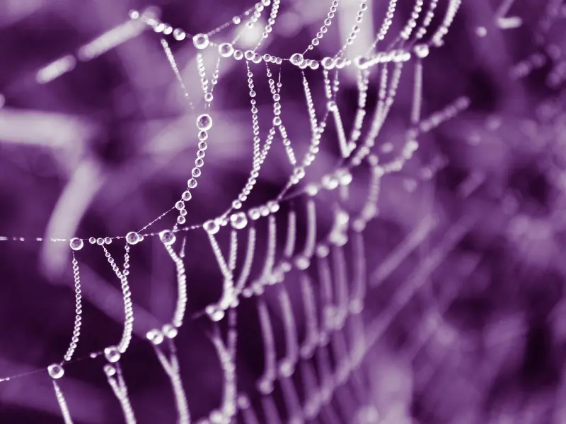 原来被拉黑了也能轻松挽回，你还在用那些过时的方法吗？