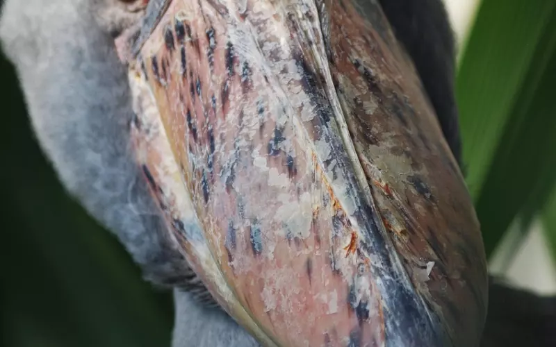 男人最在意的原来是这个，挽回时千万不能碰