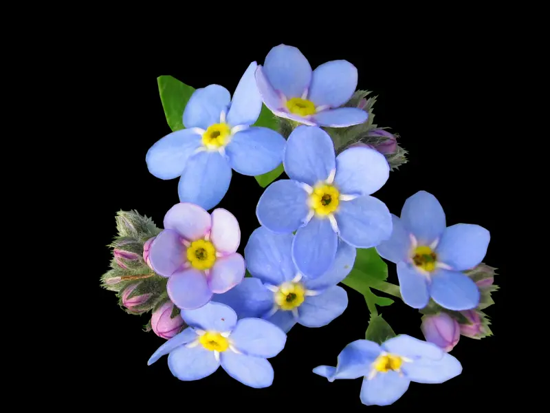 分手一星期了，我怕他把我忘了怎么办？