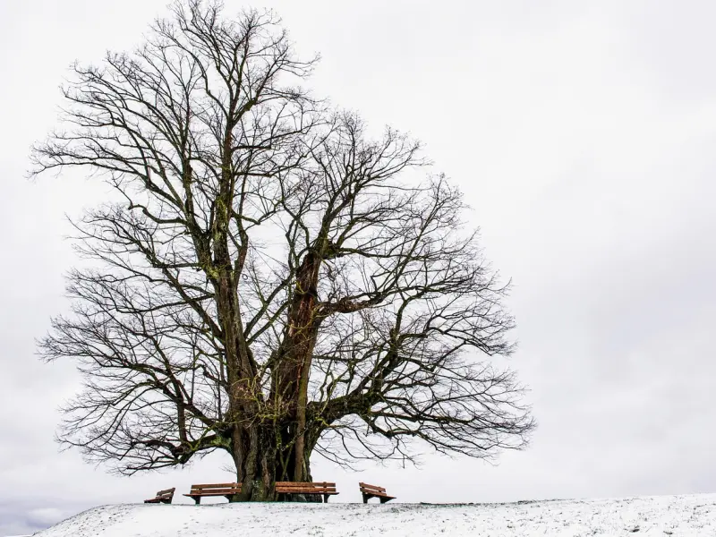 分手一段时间了还是无法放下这段感情？学会这这三招挽回男友，重拾爱情