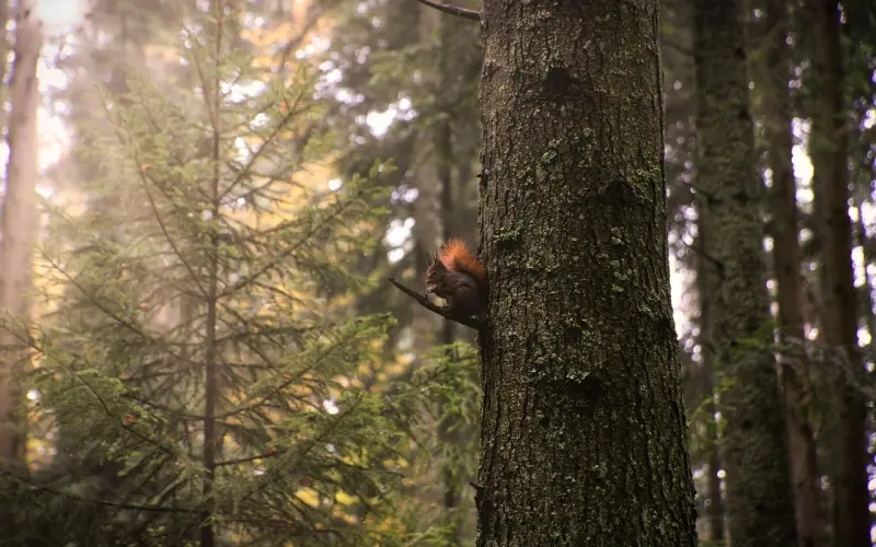 走肾容易走心难 死磕长期关系维护
