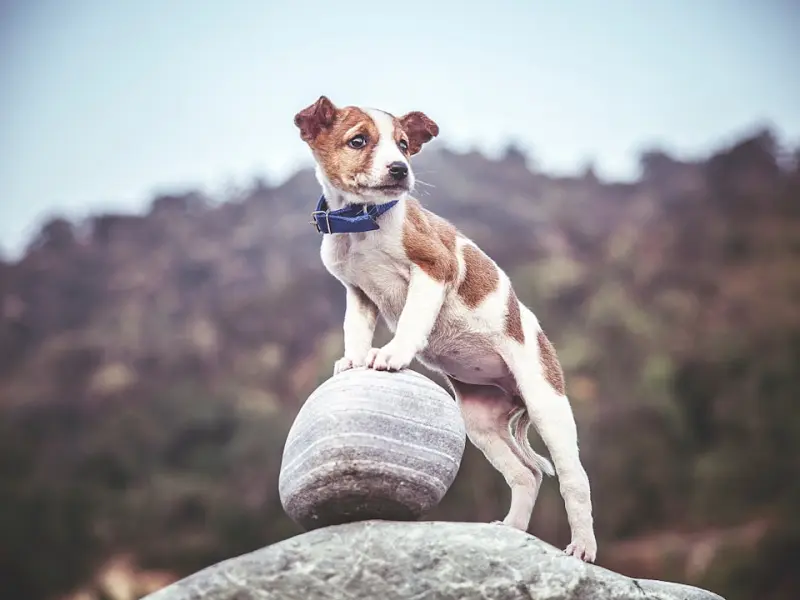 追女生保持距离很重要，想让女人对你日夜思念就不要太近！
