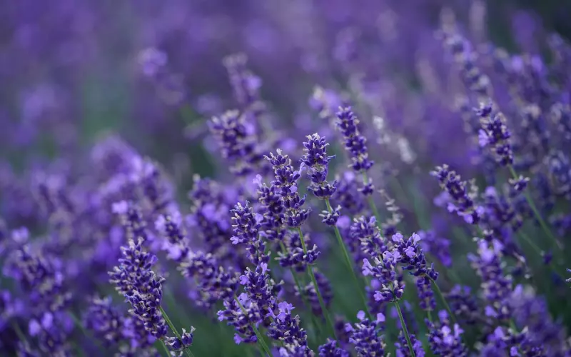 比优衣库试衣间还乱！！揭秘更衣室那些不为人知的事！