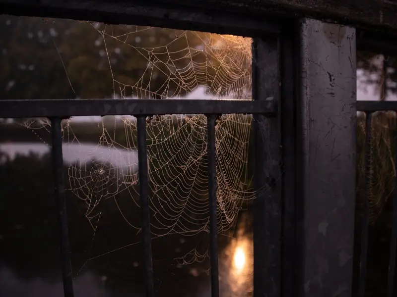 婚姻出现了问题不可怕，可怕的是不知道真正的原因与处理的最佳最科学的方案！