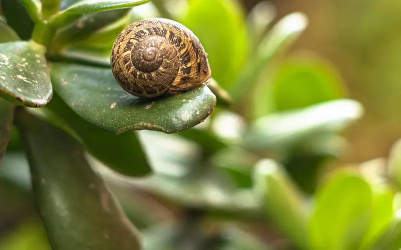 不是你太忙，是我不重要