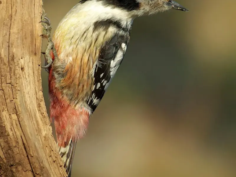 谈不好恋爱，不是你的错（二）