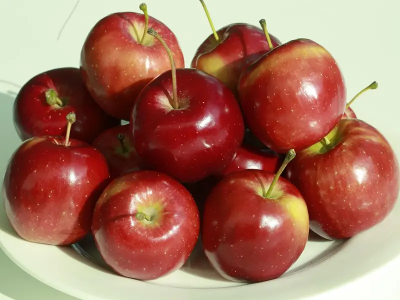 道歉可以，但是别一路都在道歉