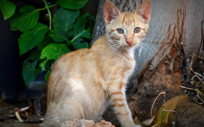 找一个知心人，真的好难！