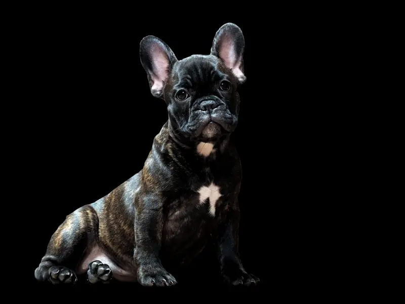 你不合群的样子真酷！