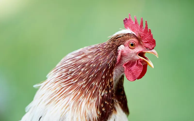 分手后每天见面好尴尬啊