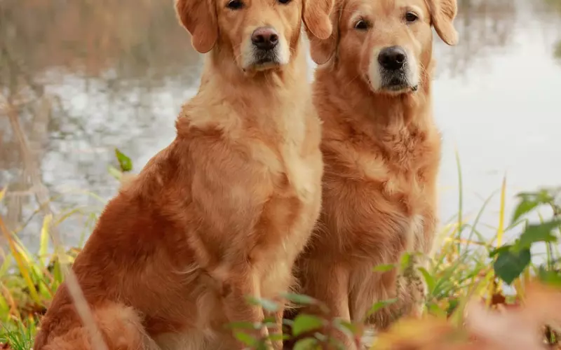 话很真，越看越心疼！